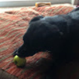 Meet your Posher, Ebony